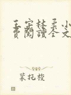 王宇林柔小说免费阅读全文最新章节