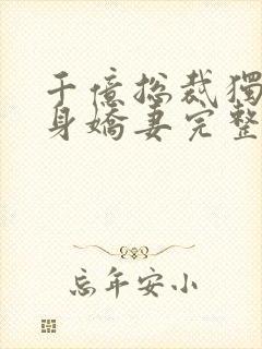 千亿总裁独宠替身娇妻完整版封面