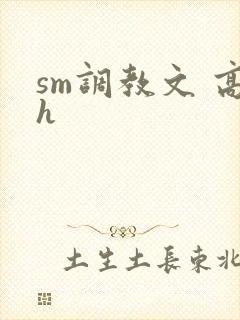 sm调教文 高h