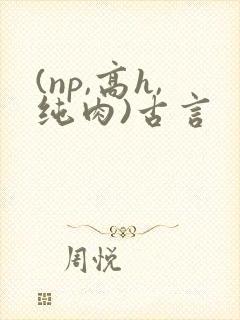 (np,高h,纯肉)古言