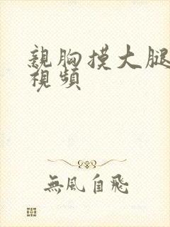 亲胸摸大腿中间视频