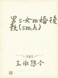 男s女m婚后调教(sm,h)