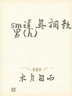 sm道具调教男男(h)封面