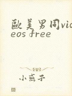 欧美男同videos free