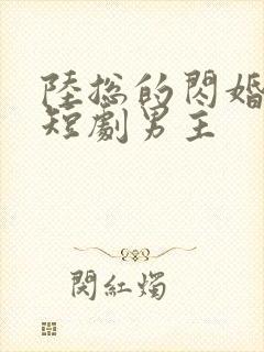 陆总的闪婚甜妻短剧男主