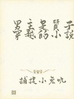 男主是质子女主穿越的小说