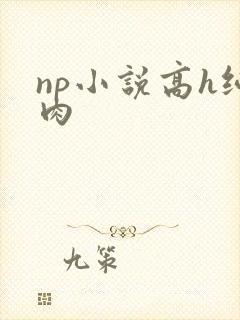 np小说高h纯肉