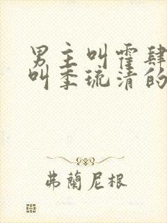 男主叫霍肆女主叫季琉清的小说