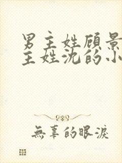 男主姓顾景琛女主姓沈的小说