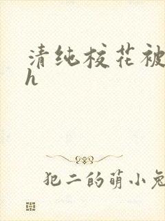 清纯校花被调教h