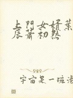 上门女婿叶辰叶辰萧初然封面