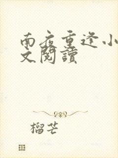 南夜重逢小说全文阅读