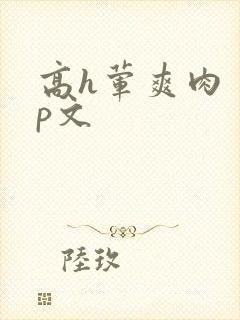 高h荤爽肉〈np文