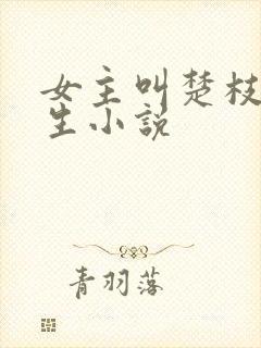 女主叫楚枝的重生小说封面