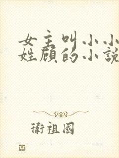 女主叫小小男主姓顾的小说