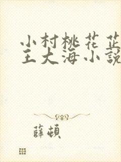 小村桃花芷晴和王大海小说全文阅读