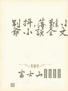 别抖,落难小少爷小说全文免费阅读