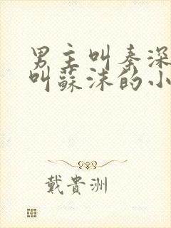 男主叫秦深女主叫苏沫的小说