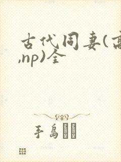 古代同妻(高h,np)全封面