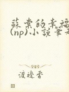 苏棠的幸福生活(np)小说笔趣阁番外