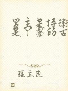 男主是侍卫女主是丫鬟的古言封面