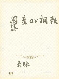 国产av调教合集封面
