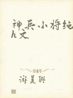 神兵小将纯肉高h文