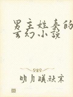 男主姓秦的男频玄幻小说封面