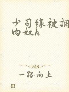 少司缘被调教成肉奴h