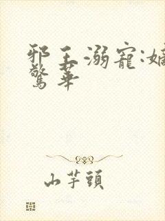 邪王溺宠:嫡妃惊华