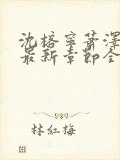 沈榕宁萧泽小说最新章节全文阅读