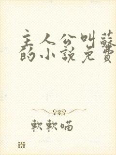 主人公叫苏铭渊的小说免费阅读