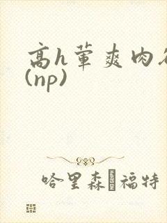 高h荤爽肉欲文(np)