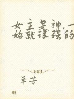 女主是神,一开始就很强的修仙文