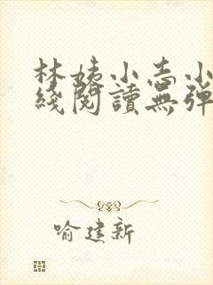 林姨小志小说在线阅读无弹窗