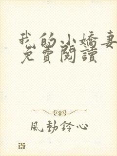 我的小娇妻全文免费阅读封面
