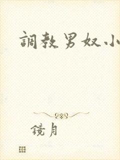 调教男奴小说网封面