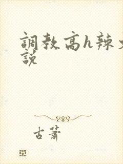 调教高h辣文小说