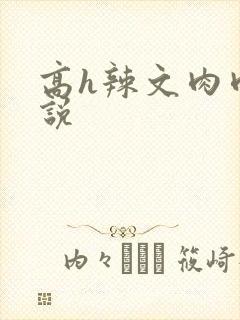 高h辣文肉肉小说