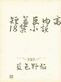 短篇巨肉高h文18禁小说