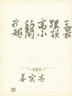 我的高跟玉足笔趣阁小说最新