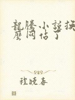 龙腾小说换成什么网站了