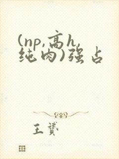 (np,高h,纯肉)强占