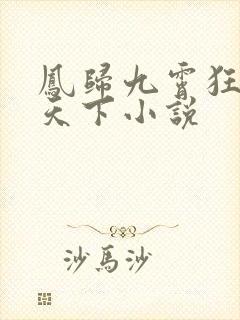 凤归九霄狂妃逆天下小说