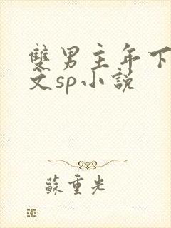 双男主年下训诫文sp小说封面