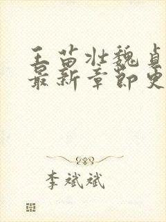 王苗壮魏贞小说最新章节更新时间