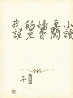 我的娇妻小慧小说免费阅读封面