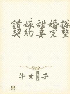 错嫁甜婚总裁的契约妻完整版