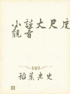 小说大尺度在线观看封面