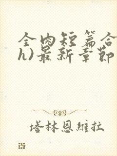 全肉短篇合集(h)最新章节列表